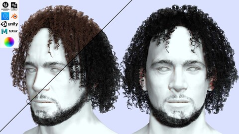 Realistic Male Long Curly Hair