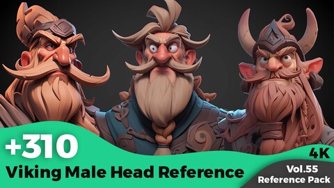 +310 Stylized Viking Male Head Reference(4k)