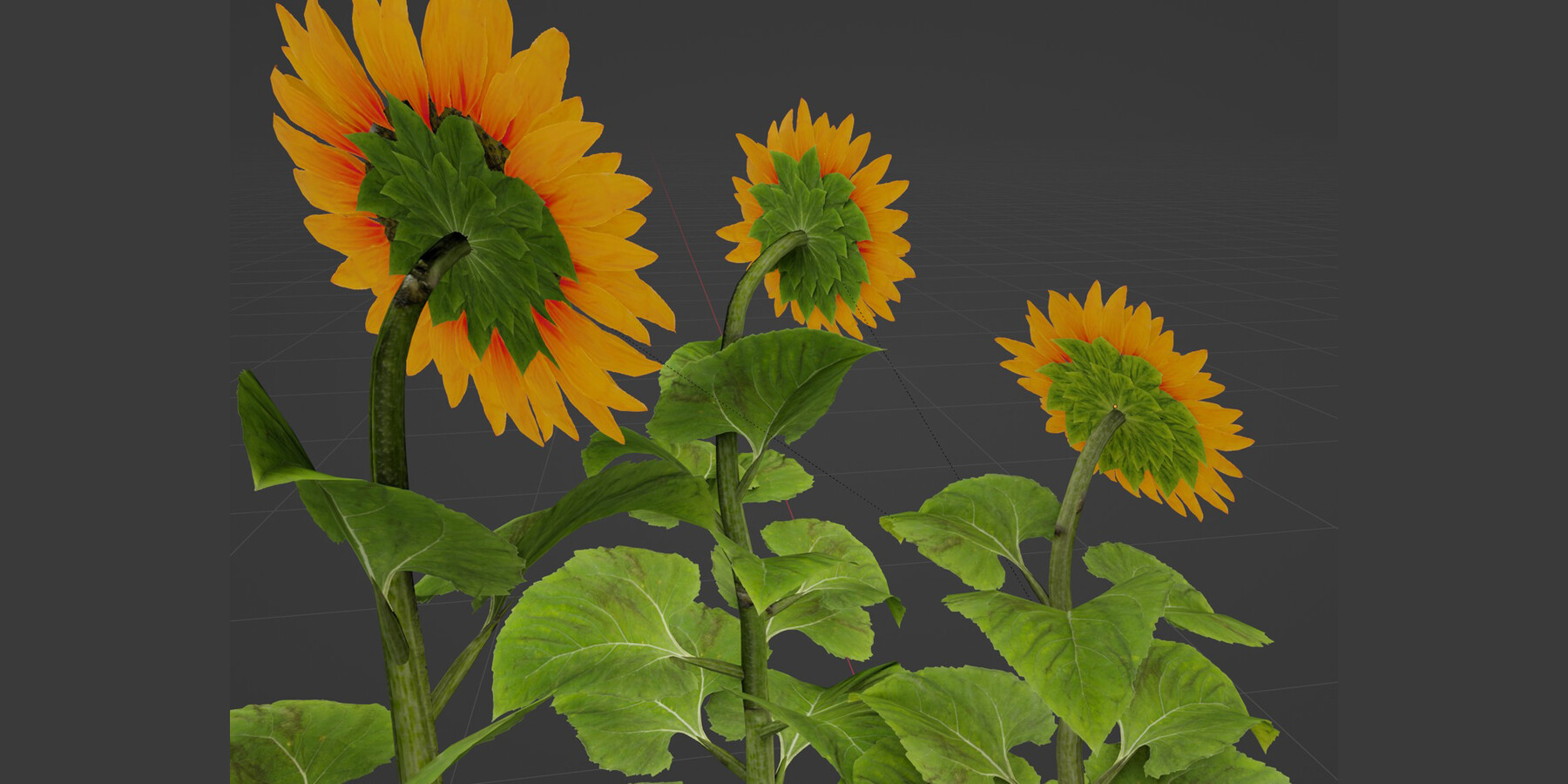 ArtStation - Sunflower (Plants vs zombies) (Blender3D)(Fan art)