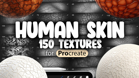 150 Procreate Human Skin Texture | Realistic Skin Material Procreate Seamless Brushes | Procreate Brushes Skin | Procreate Derma Brush