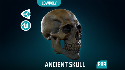 Human Skeleton Skull - Ancient - Lowpoly - Game Ready