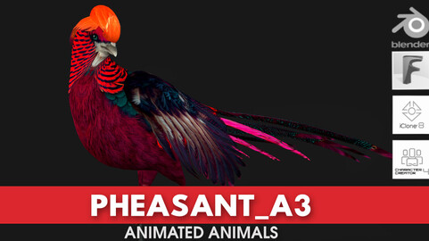 Pheasant_A3