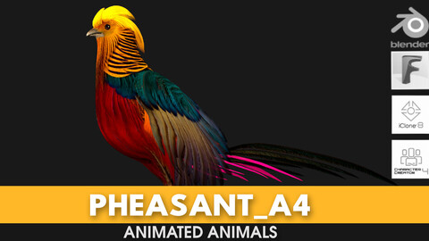 Pheasant_A4