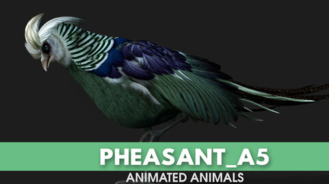 Pheasant_A5