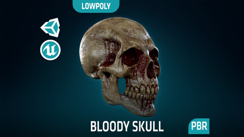 Human Skeleton Skull - Bloody - Lowpoly - Game Ready