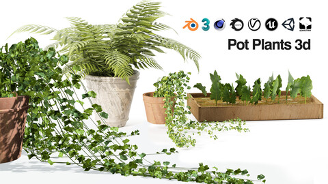 low poly 3d pot plant trio