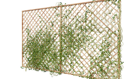 Ivy Climber Plant on Wall Wood Mesh Decoration 3D Pack