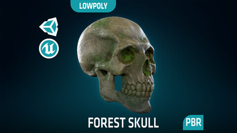 Human Skeleton Skull - Forest - Lowpoly - Game Ready