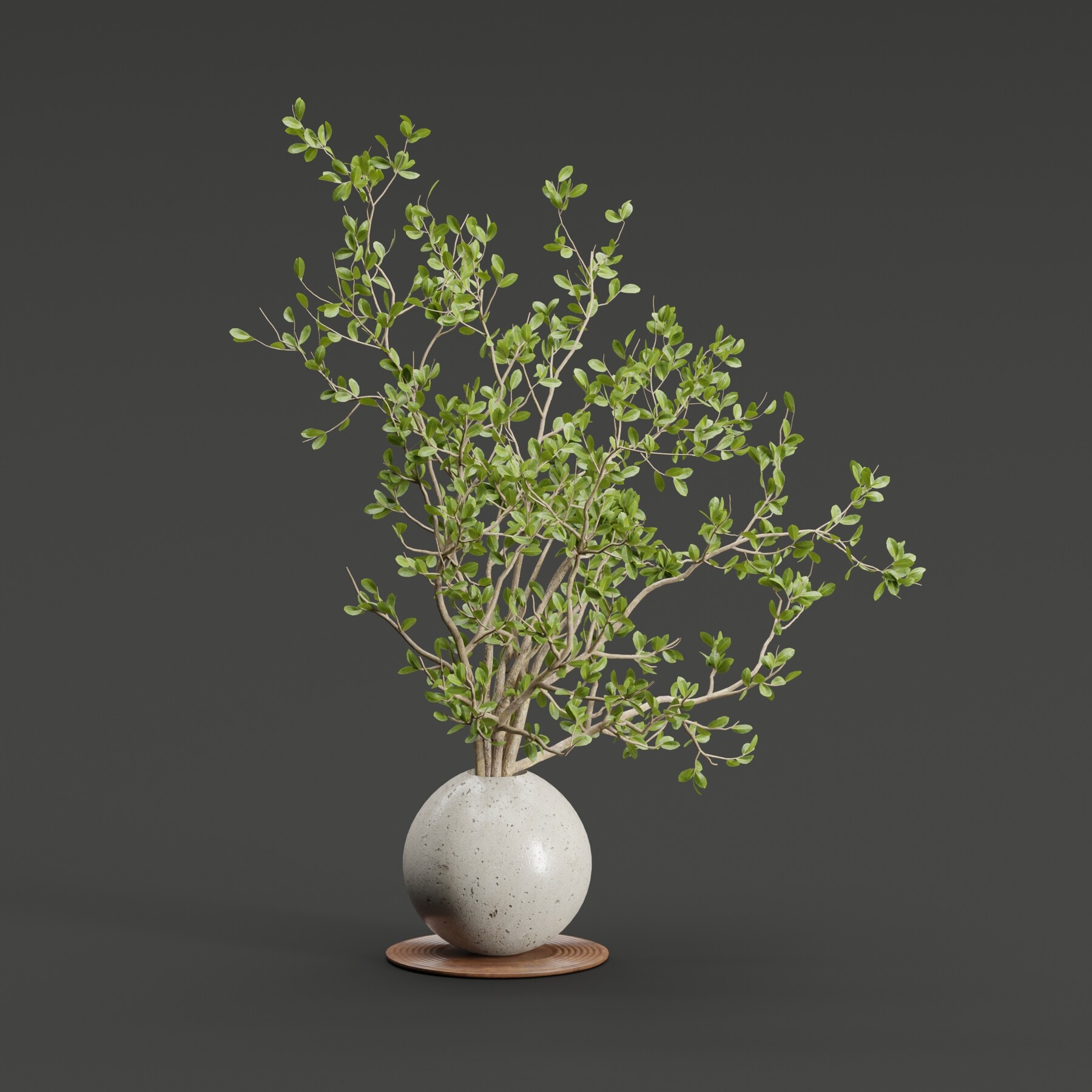 Decorative Branches vol 163-Blender-3DModel