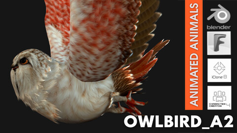 OwlBird_A2