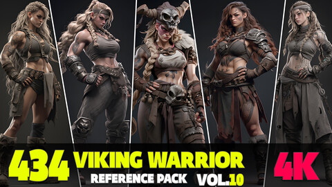 434 4K Viking Warrior Reference Pack Vol.10