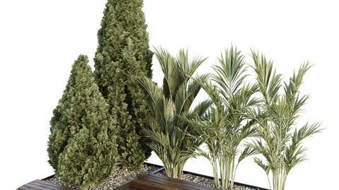 HQ Tree and bush garden box outdoor VOL 39