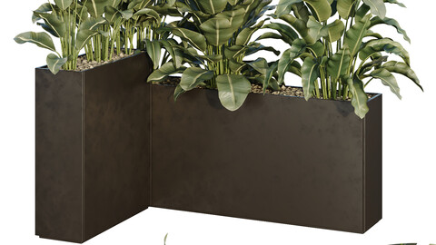 HQ Tree and bush garden box outdoor VOL 38