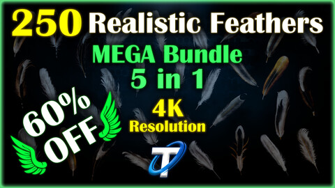 250 Realistic Feather - PBR Textures (MEGA Bundle)