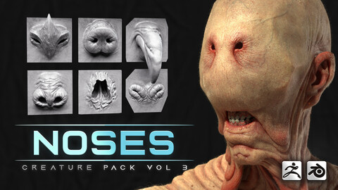 44 Nose - High Detailed Noses For Creatures - VDM Zbursh, VDM Blender