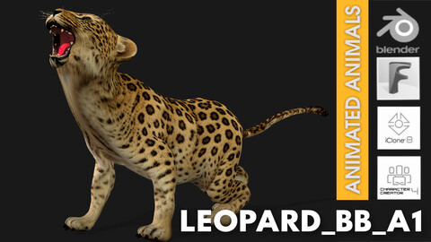 Leopard_Baby_A1