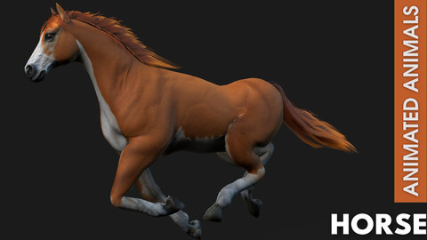 Horse_A2