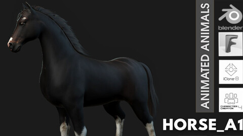 Horse_A1