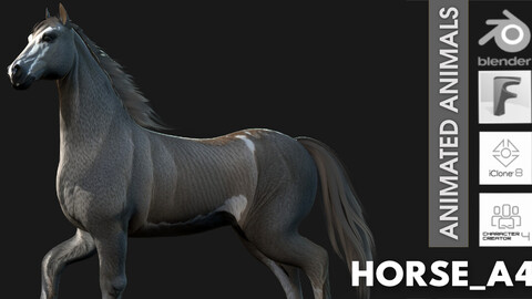 Horse_A4