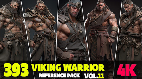 393 4K Viking Warrior Reference Pack Vol.11