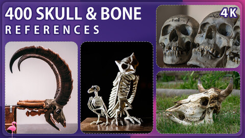 400 Skull & Bone Reference Pack – Vol 1