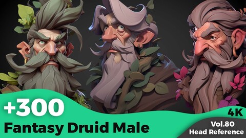 +300 Fantasy Druid Male Head References(4k)