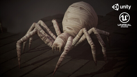 Spider mummy