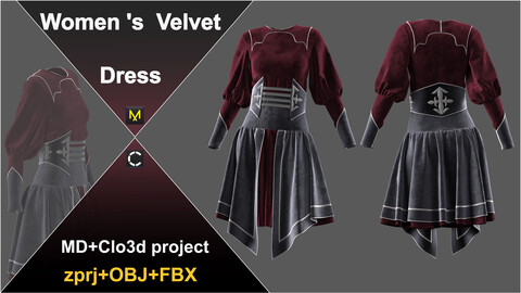 Women's  Velvet  Dress