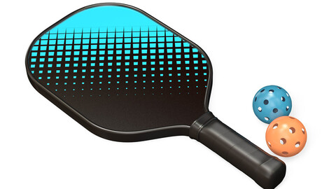 Pickleball set Paddle and Balls