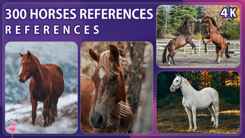 400 Horses Photo Reference Pack – Vol 1