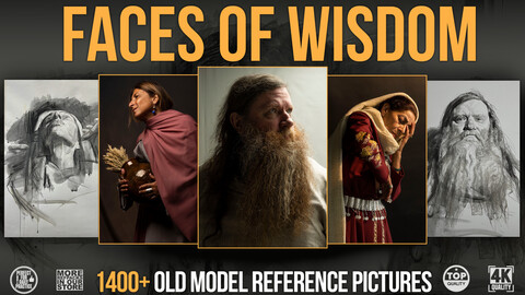 1400+ Faces of Wisdom (Old Model Reference Pictures)+30% Off in the description