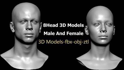 8 Head 3D Models  Male And Female