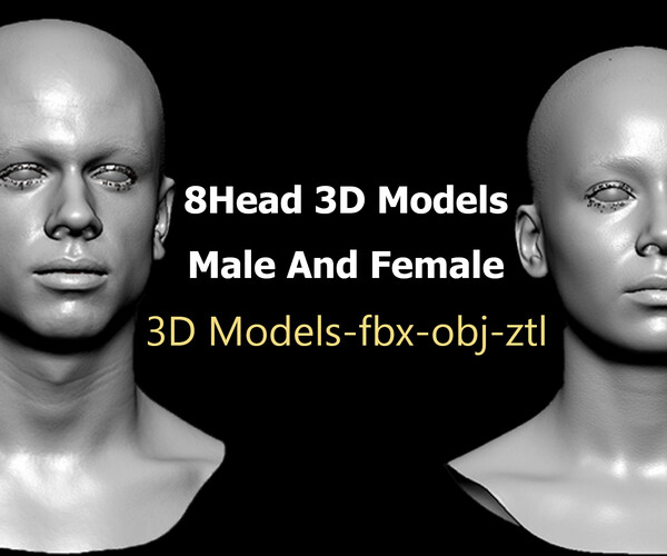 ArtStation - 8 Head 3D Models Male And Female | Resources