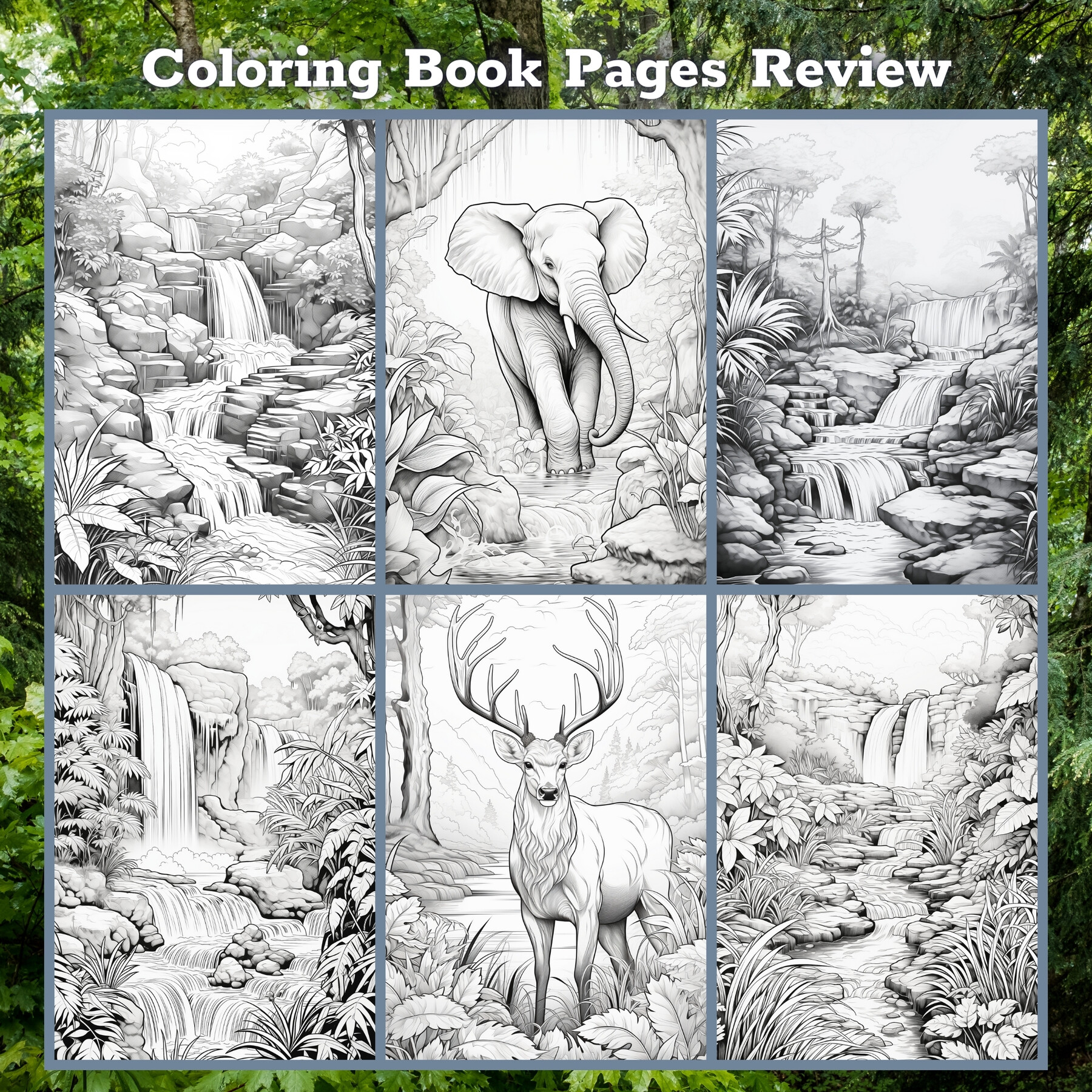 Forest Wildlife Coloring Book For Adults 59 Year Old: african