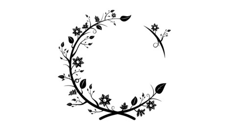 Stylized vector wreath with leaves and flowers and other elements