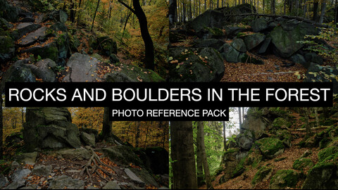 ROCKS AND BOULDERS IN THE FOREST PHOTO REFERENCE PACK 781jpgs