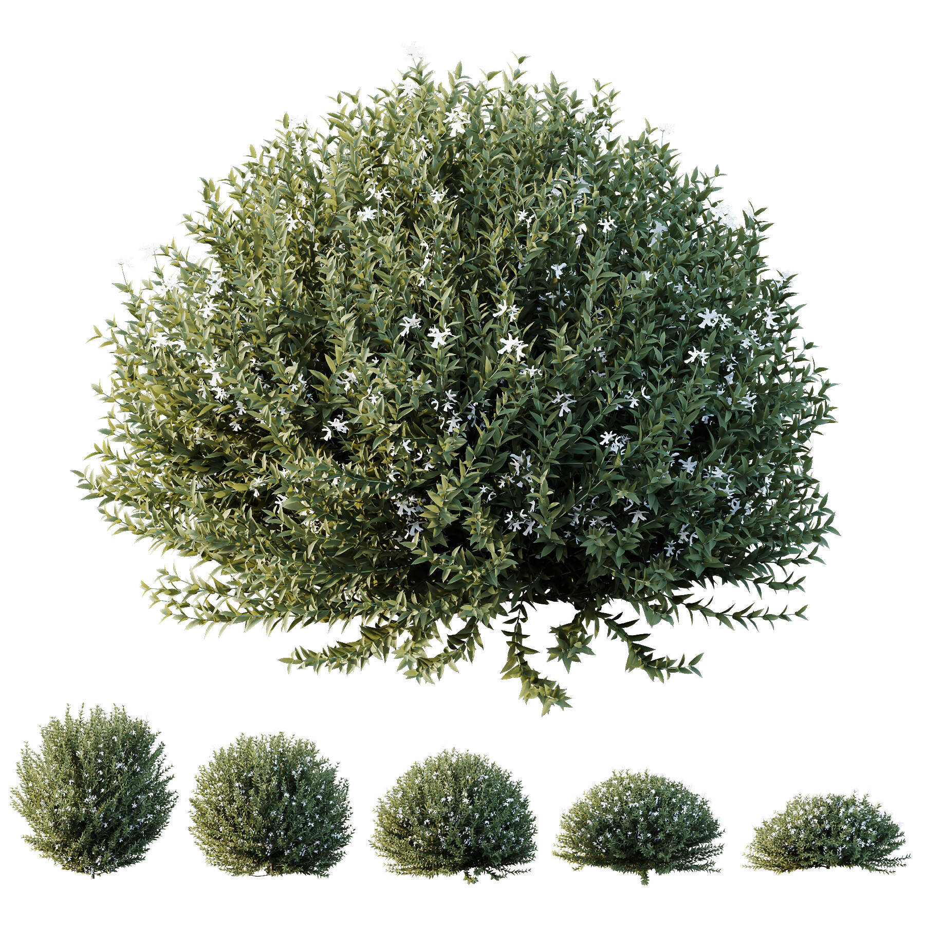 ArtStation - HQ HousePlants Olive Artificial Olivo Olea Tree