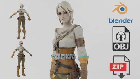 Cirilla The Witcher Lowpoly Rigged