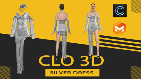 Silver dress,Marvelous Designer or Clo3D (ZPRJ)