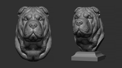 Shar Pei dog head