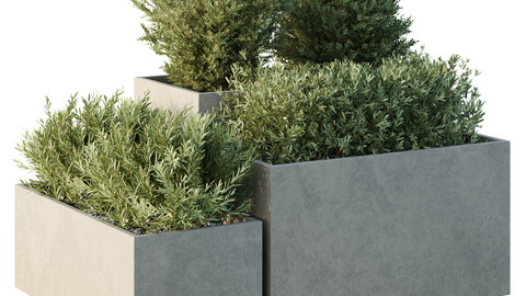 HQ Tree and bush garden box outdoor VOL 52