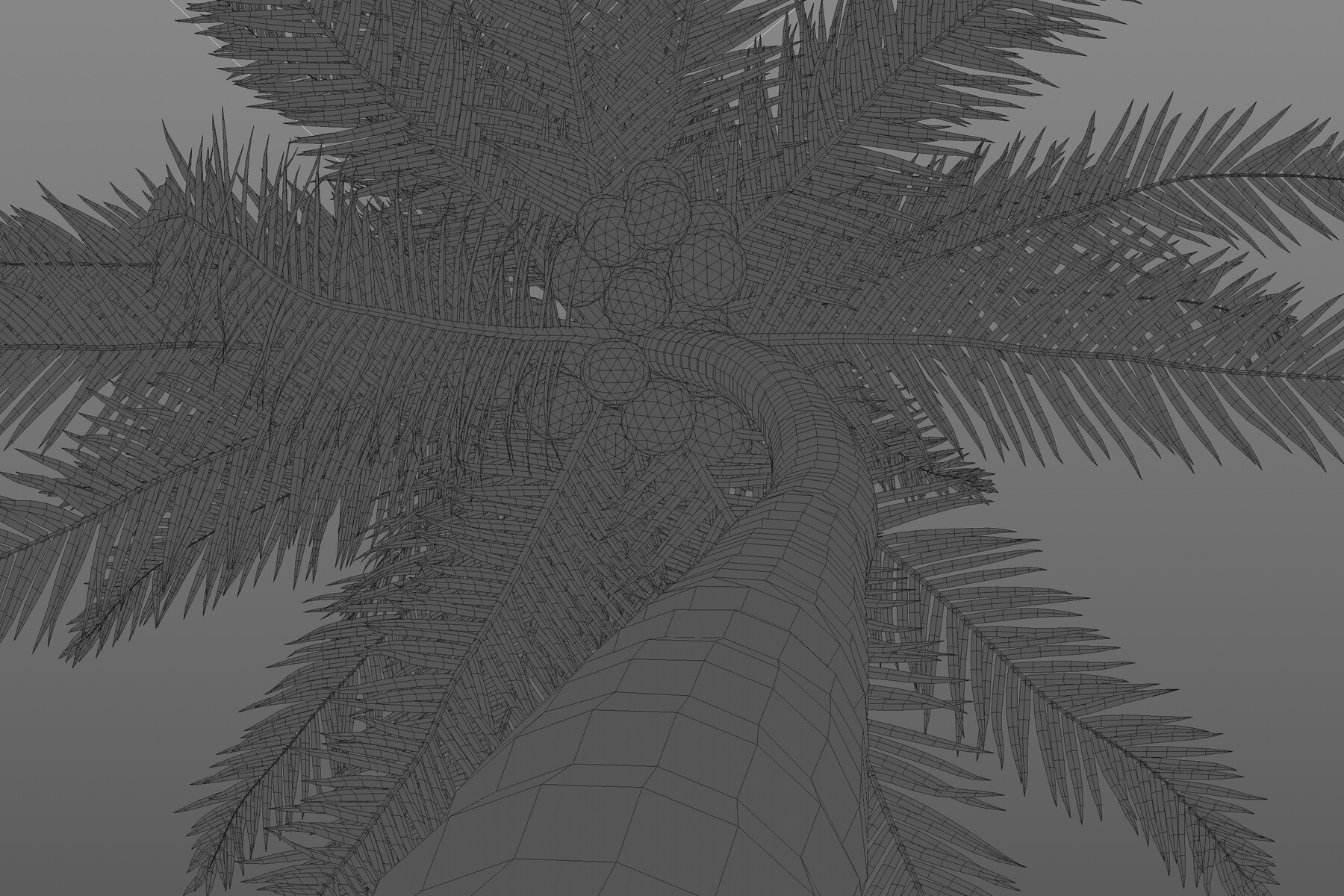 Artstation Coconut Palm Resources