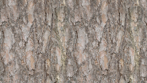 Bark Seamless Texture Patterns 2k (2048*2048) | PNG 12 | JPG 12 File Formats All Texture Apply After Object Look Like A 3D