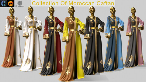 Traditional moroccan Caftan ( Takchita )