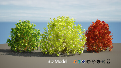 low poly Sunjoy Gold Beret Barberry shrub