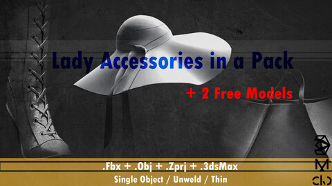 Female Accessories, Bag, Hat, Boots + MD/Clo3d + obj + fbx + 3dsMax