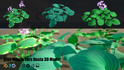 Low-Poly Beauty of Blue Mouse Ears Hosta