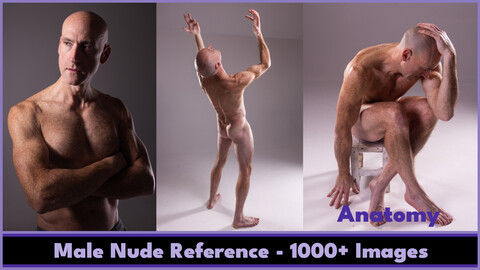 Male Anatomy Action Texture Pack 1000+ images