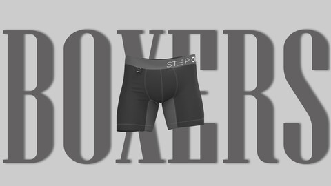 Realistic Boxers / Underwear