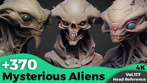 +370 Mysterious Alien Head Reference(4k)